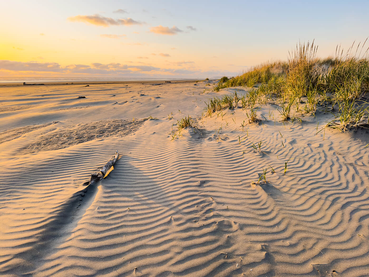 Grays Harbor Beach