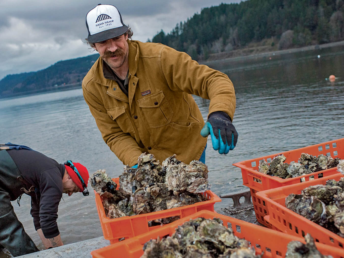Mason County Aquaculture