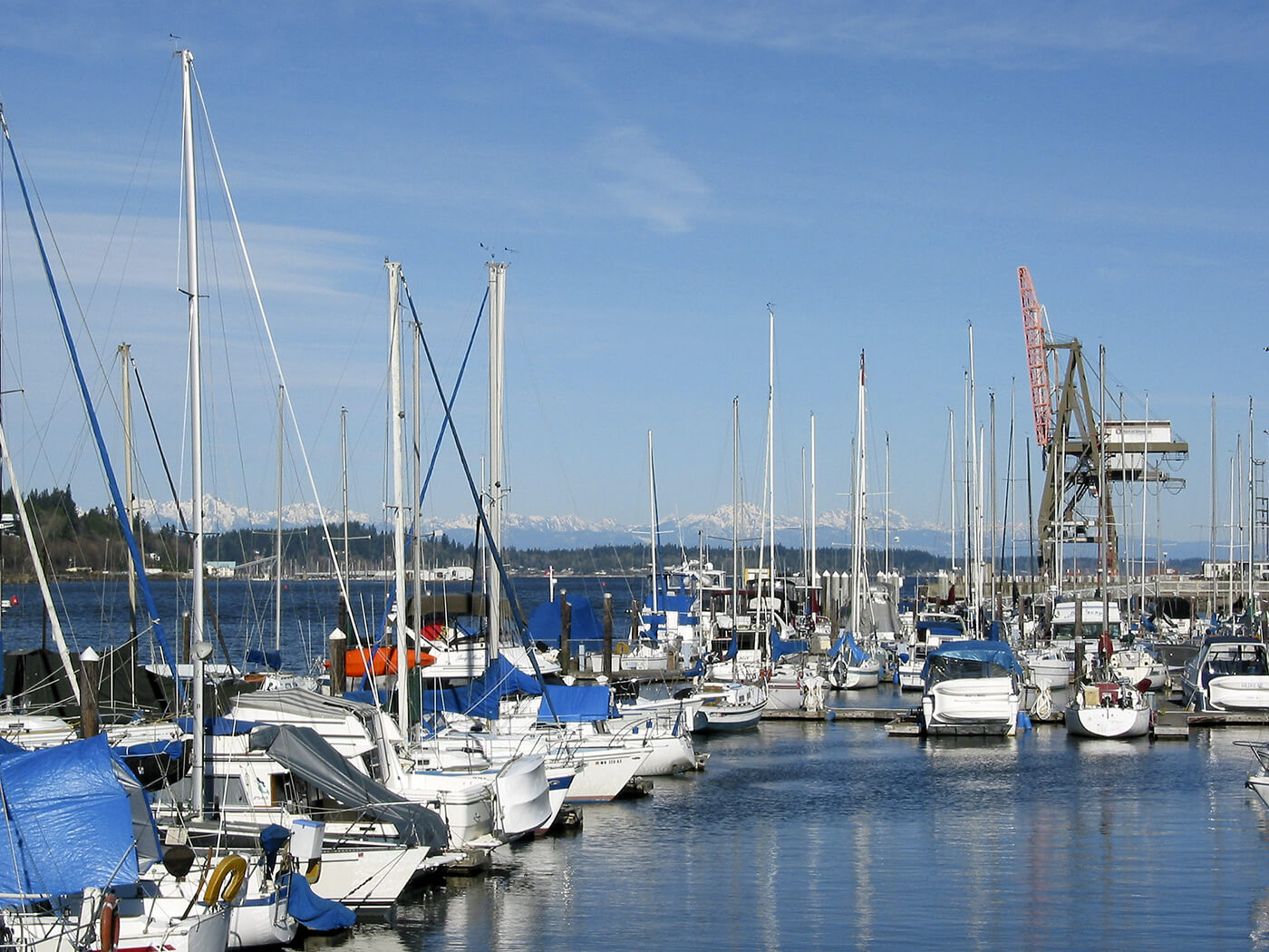 Thurston County Port